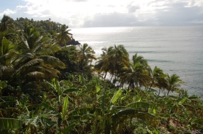 Karibik
