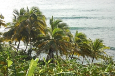 Karibik
