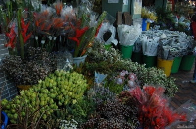 Flower market
