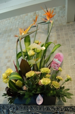 Flower market - arane

