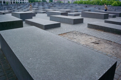 DSC_7306.jpg