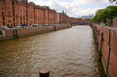 DSC_7309.jpg