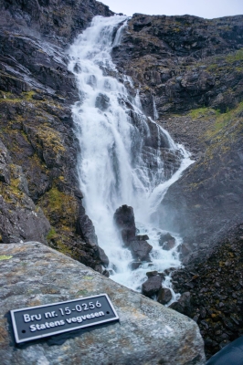 DSC_7377.jpg
