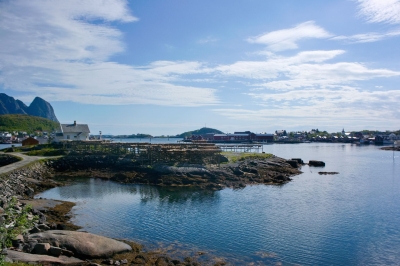 DSC_7411.jpg