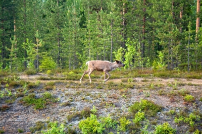 DSC_7427.jpg