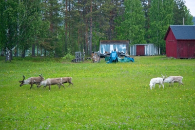 DSC_7432.jpg